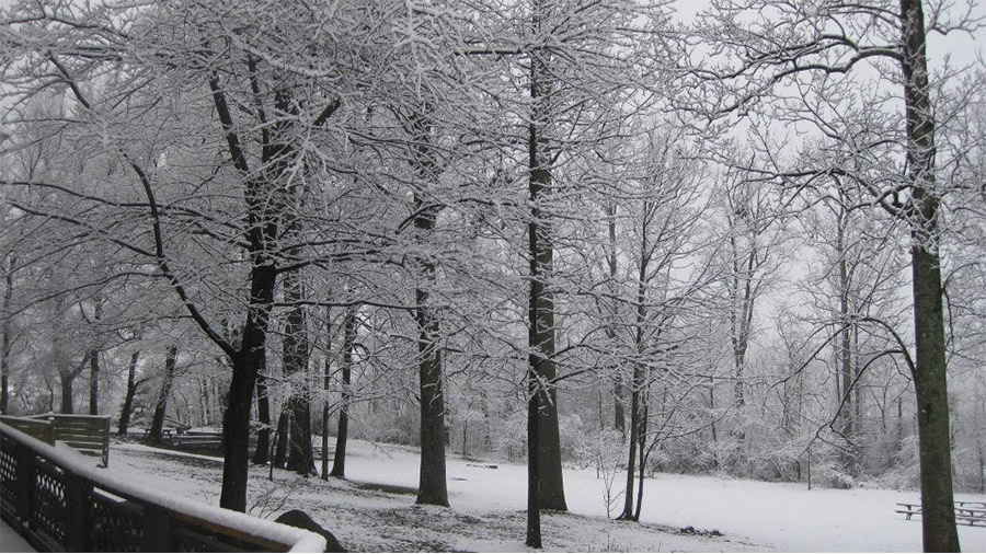 The Treehouse Camp Winter