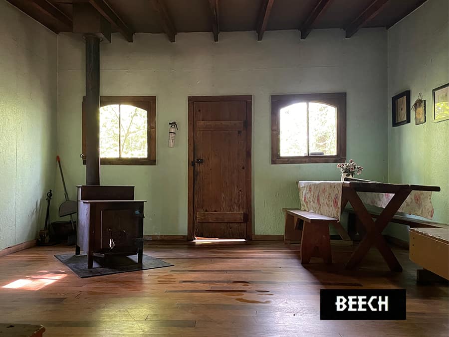 Beech Tree Cottage Campsite