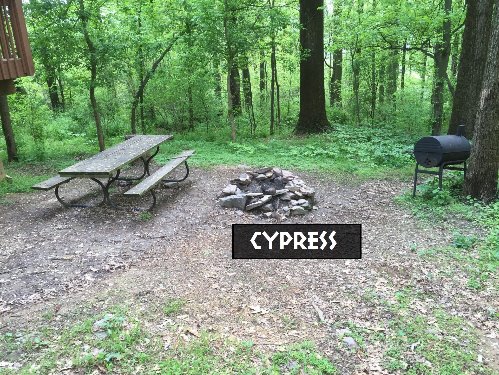 Cypress Tree Cottage Campsite
