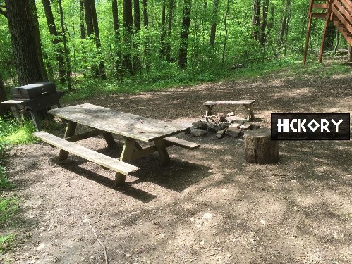 Hickory Tree Cottage Campsite