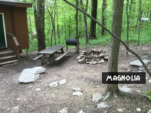 Magnolia Tree Cottage Campsite