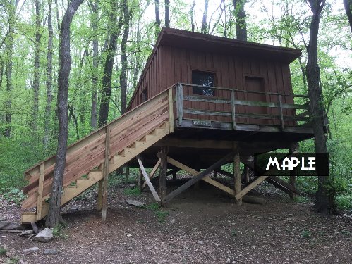 Maple Tree Cottage Campsite
