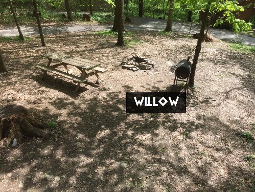 Willow Tree Cottage Campsite