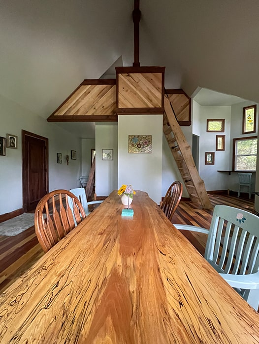 Dragonfly Fairy House Interior