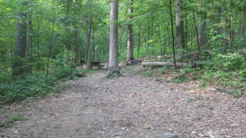 Badger Tent Campsite