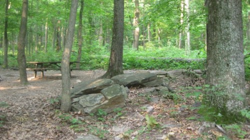 Cougar Tent Campsite