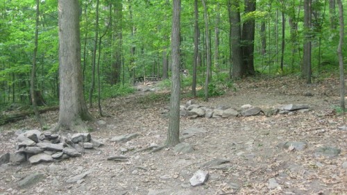 Hedgehog Tent Campsite