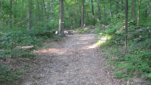 Wildebeest Tent Campsite