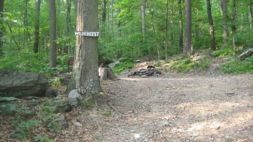 Wildebeest Tent Campsite