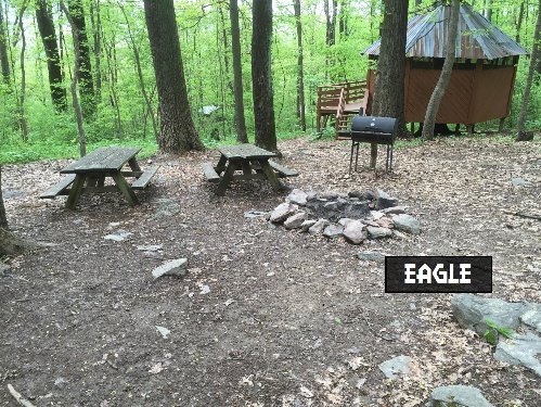 Eagle Tree House Campsite