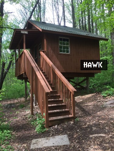 Hawk Tree House Campsite