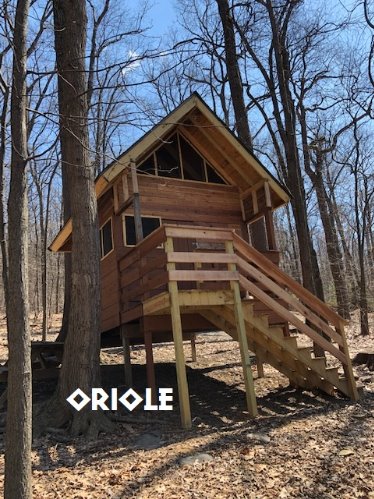 Oriole Tree House Campsite