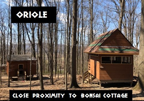 Oriole Tree House Campsite