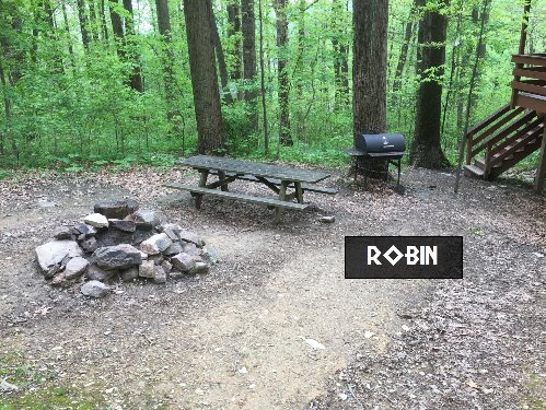 Robin Tree House Campsite