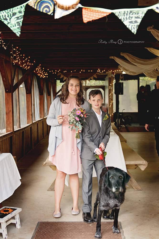 The Treehouse Camp Pavilion, Wedding Reception